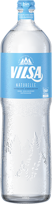 Vilsa Brunnen Naturelle Ind. - 6 x 1,00 l