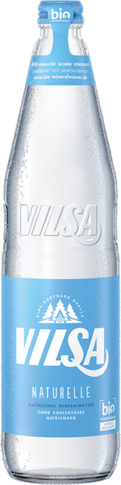 Vilsa Brunnen Naturelle Ind. - 12 x 0,70 l
