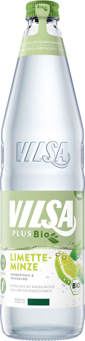 Vilsa Plus Bio Limette-Minze - 12 x 0,70 l